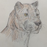 Gwendolyn / Dunsmuir / Grade 7