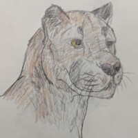 Gwendolyn / Dunsmuir / Grade 7