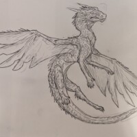 Gwendolyn / Dunsmuir / Grade 7