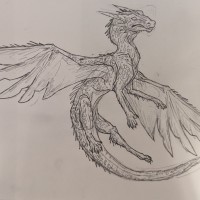 Gwendolyn / Dunsmuir / Grade 7