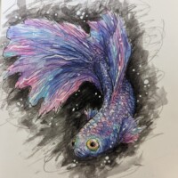 Gwendolyn / Dunsmuir / Grade 7