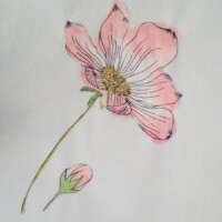 Nora / Dunsmuir / Grade 6