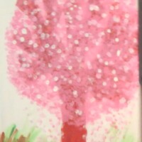 Veruschka / Dunsmuir / Grade 6