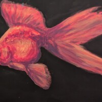 Gwendolyn / Dunsmuir / Grade 8